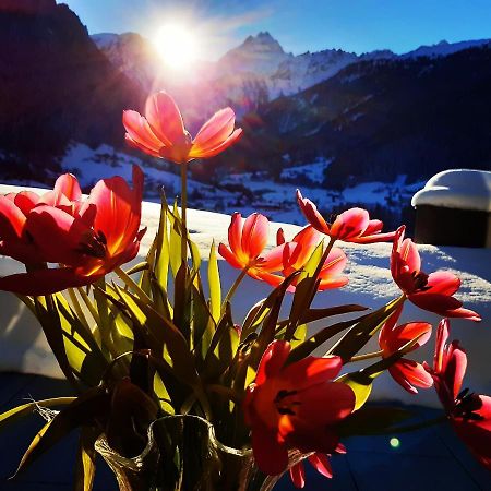 Alpenpension Maderer Гашурн Екстер'єр фото