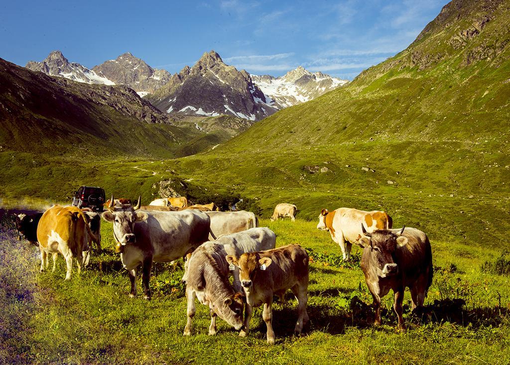Alpenpension Maderer Гашурн Екстер'єр фото